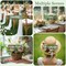 12Pcs Floral Foam, Green Round Mini Flower Foam Holder Flower Arrangements Supplies